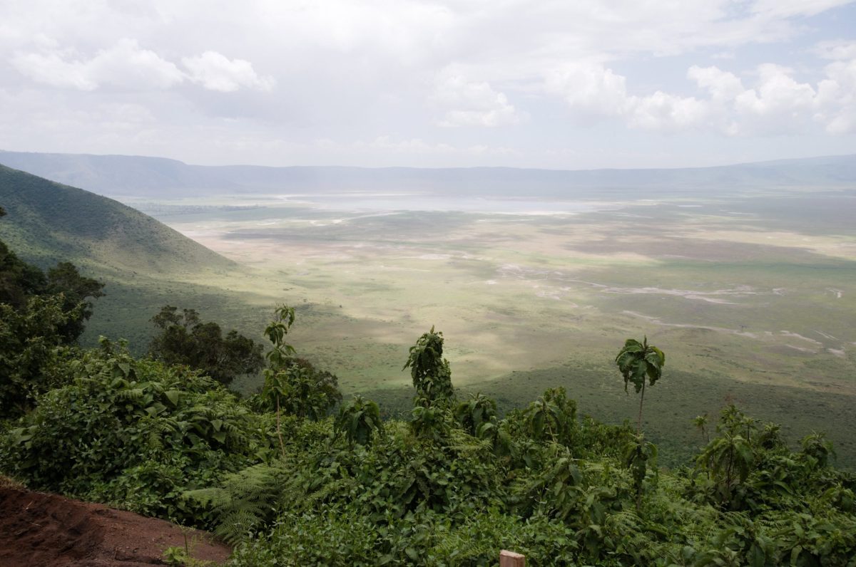 Ngorongoro Crater