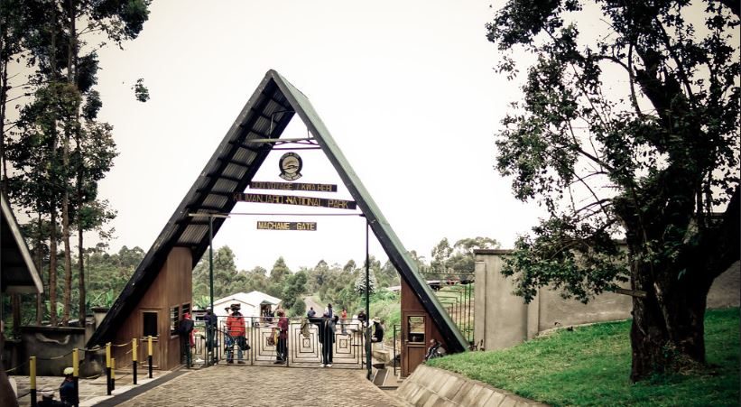 Optimal Time to Explore Kilimanjaro National Park