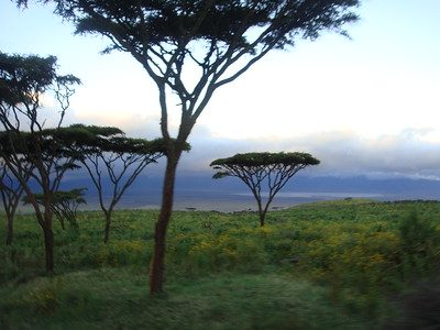 Preserving the Beauty of Ngorongoro Conservation Area
