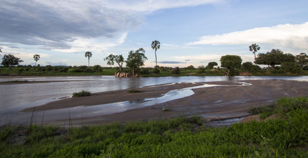 Ruaha National