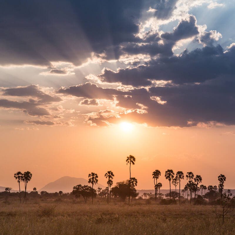 Ruaha National