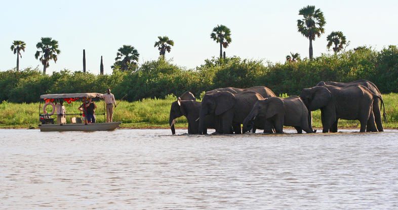 Selous Game