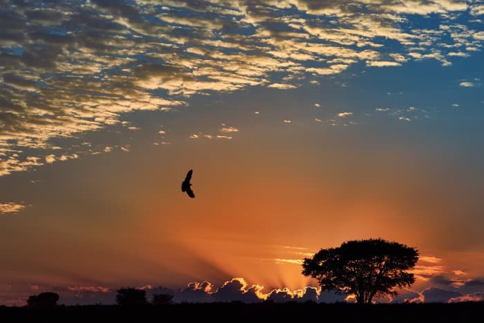 Sunset Africa