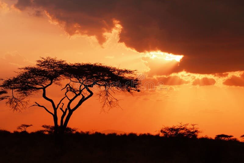 Sunset Africa