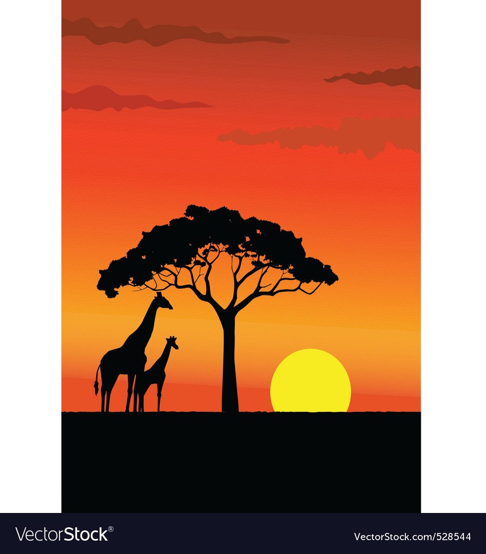 Sunset Africa