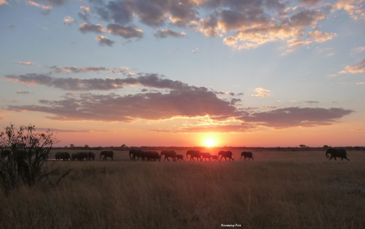 Sunset Africa