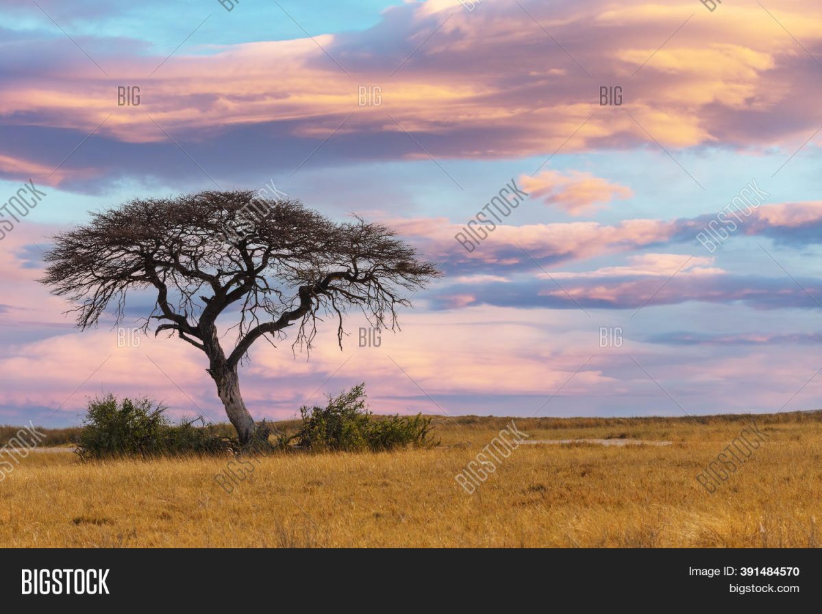 Sunset Africa