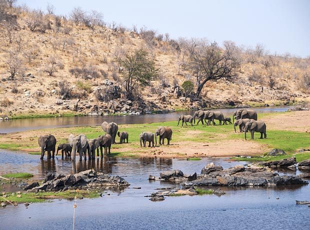 Tanzania: Home of Ruaha National Park