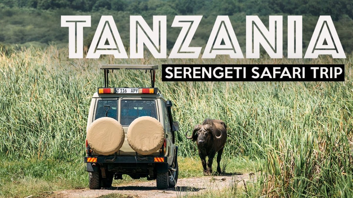 Tanzania safari