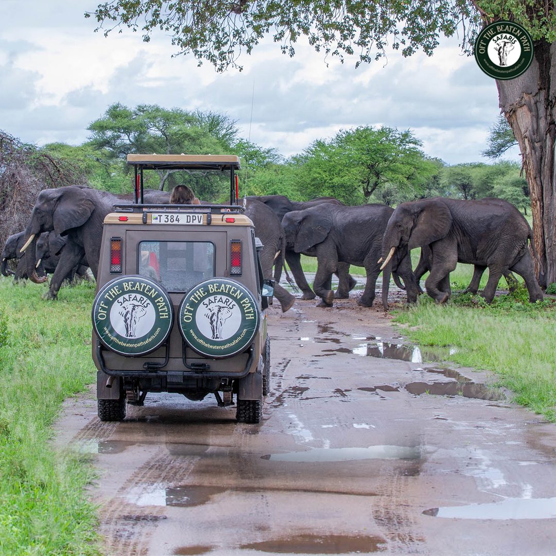 Tarangire National