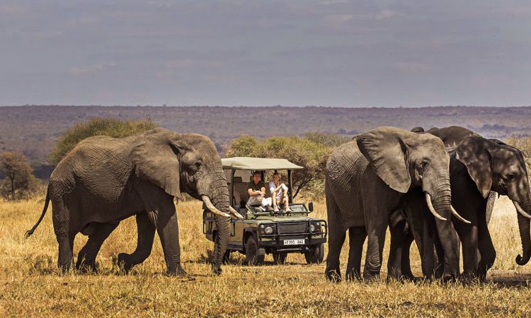 Tarangire National