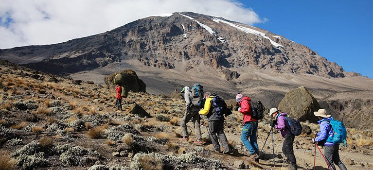 The Quickest Route to Summit Kilimanjaro
