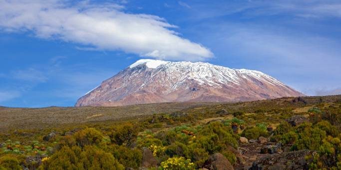 Ultimate Guide to 8 Day Kilimanjaro Climb