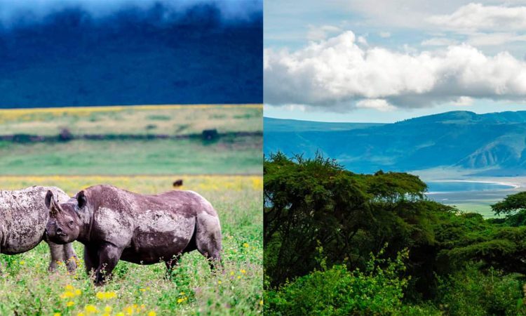 Viewing Kilimanjaro from Ngorongoro Crater: An Analysis