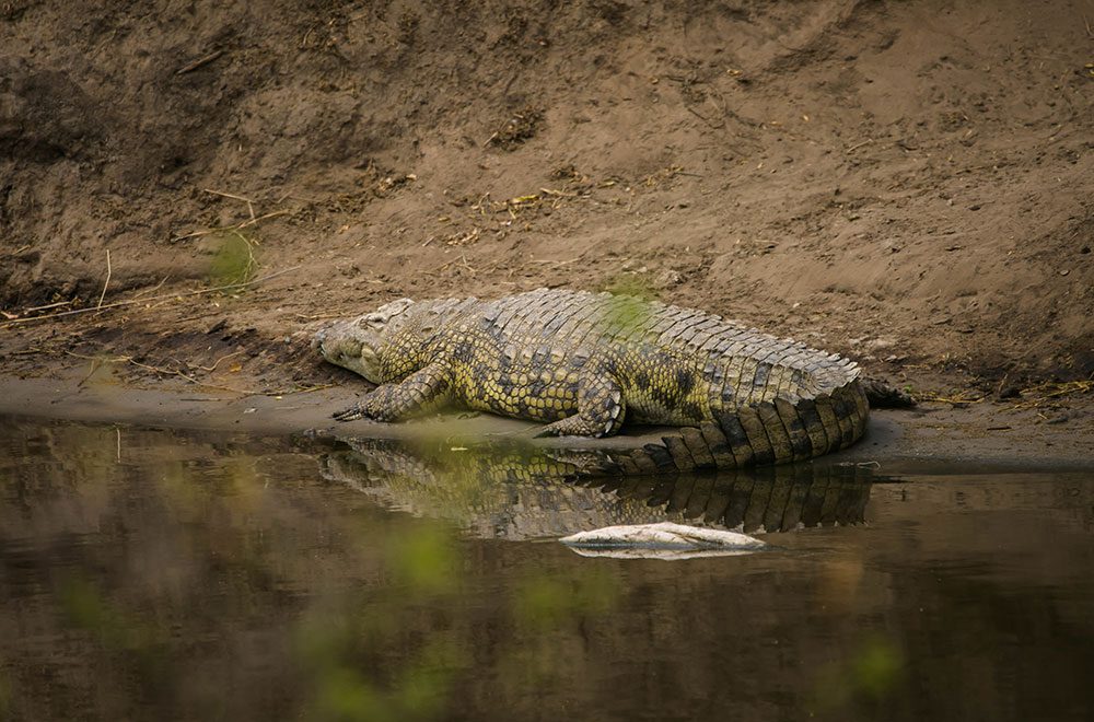 Weather Conditions in Ruaha National Park