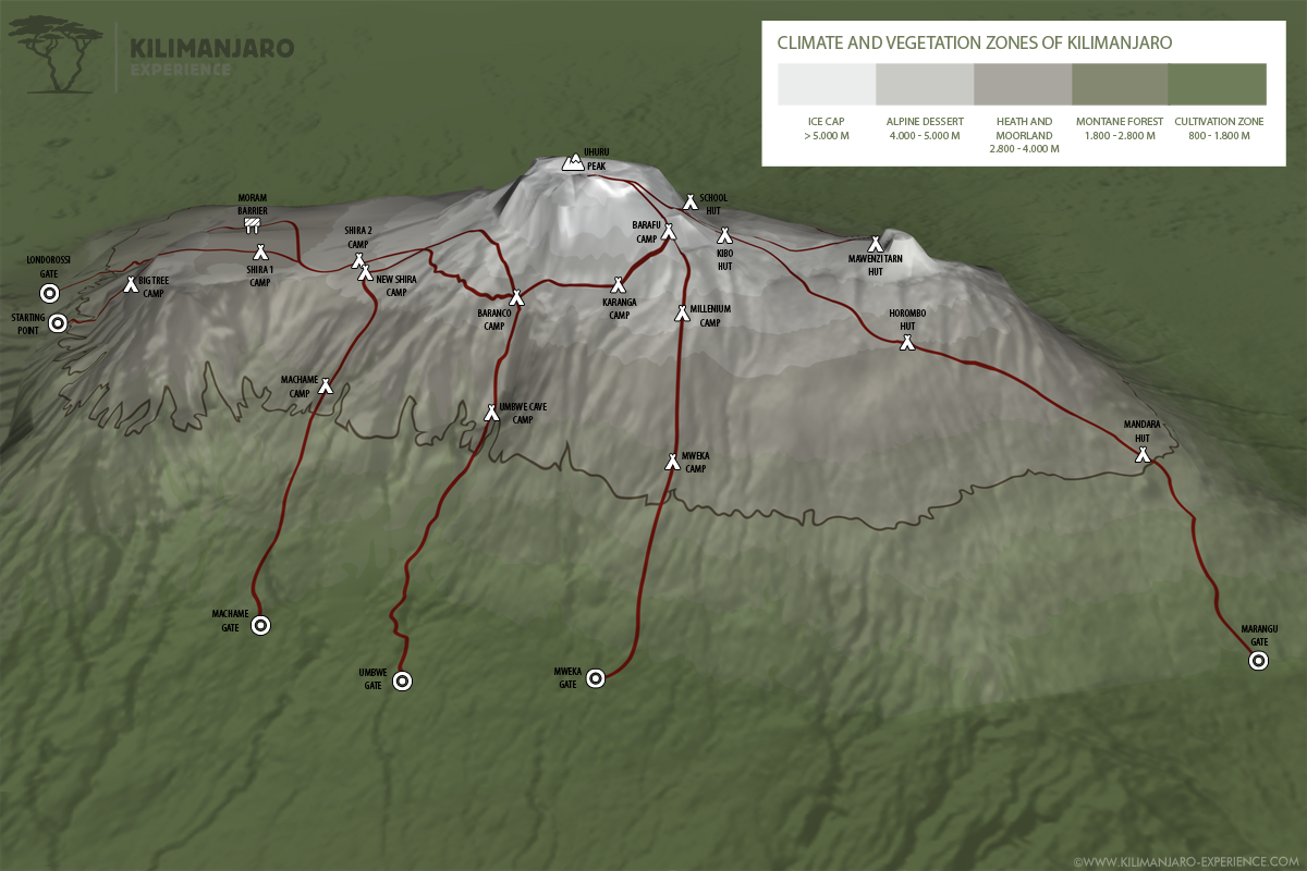 climbing Kilimanjaro