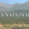 Arusha National