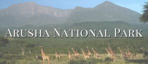 Arusha National