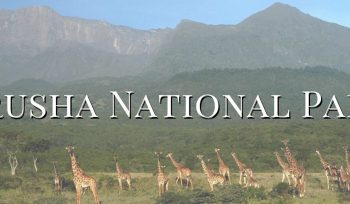 Arusha National