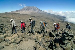 Climbing Kilimanjaro