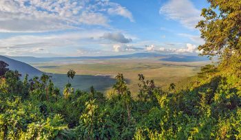 Ibanda-Kyerwa National