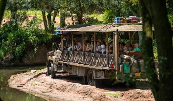 Kilimanjaro Safari