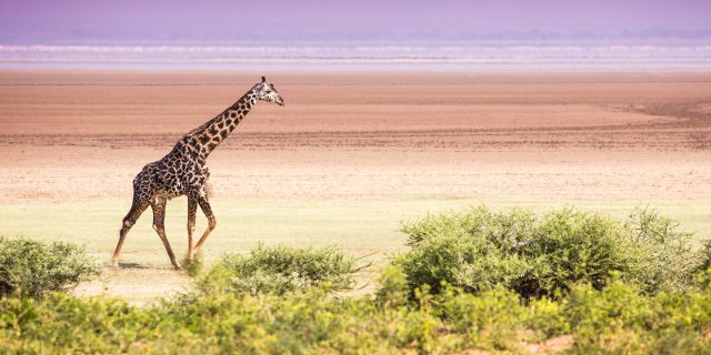 Lake Manyara