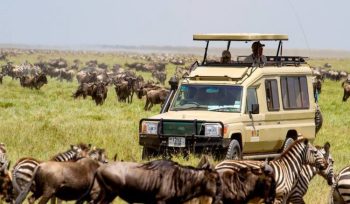 Lake Manyara