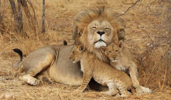 Lake Manyara