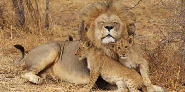 Lake Manyara