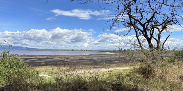 Manyara National