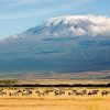 Mount Kilimanjaro