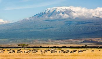 Mount Kilimanjaro