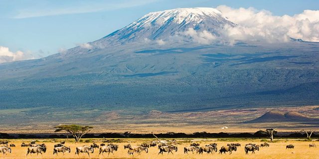 Mount Kilimanjaro