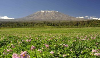 Mount Kilimanjaro