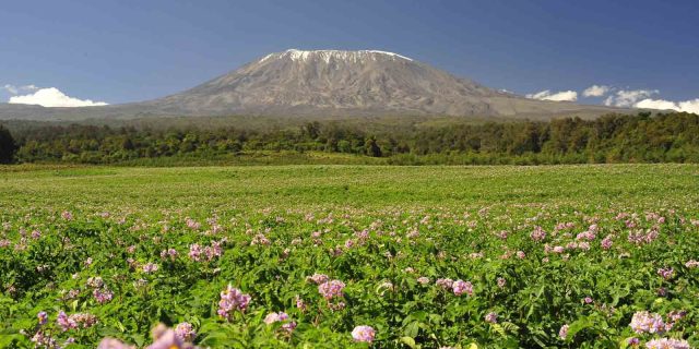 Mount Kilimanjaro