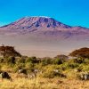 Mount Kilimanjaro