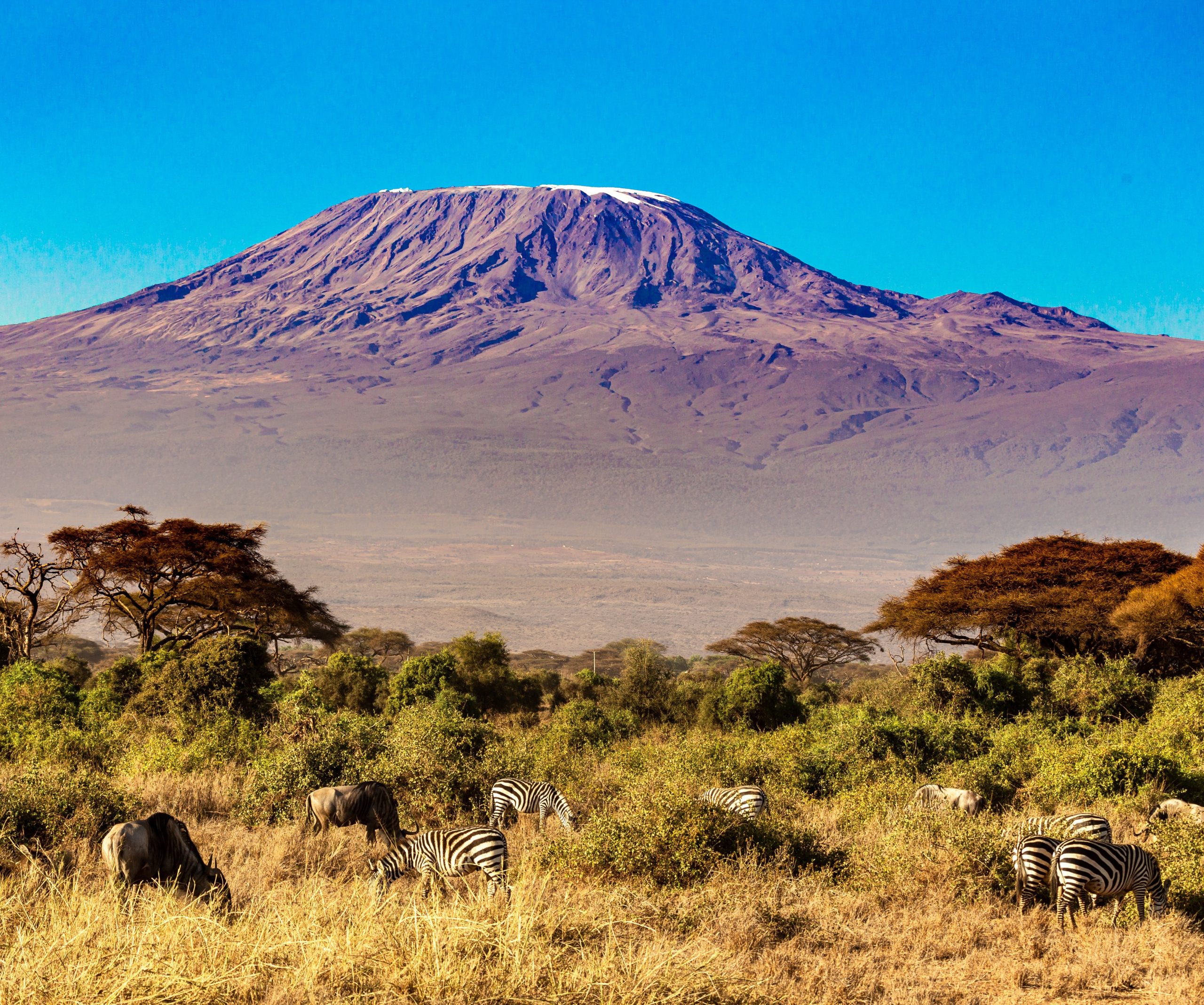 Mount Kilimanjaro