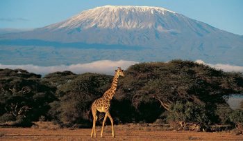 Mount Kilimanjaro