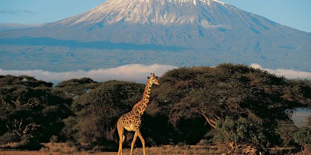 Mount Kilimanjaro