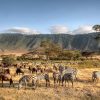 Ngorongoro Conservation