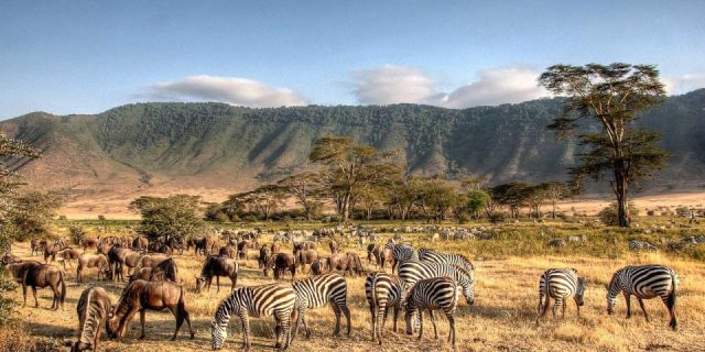 Ngorongoro Conservation