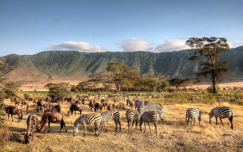 Ngorongoro Conservation