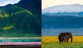 Ngorongoro Crater