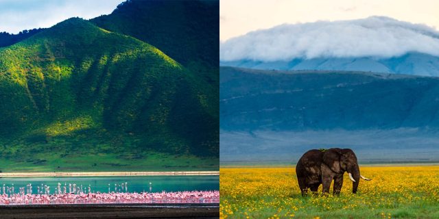 Ngorongoro Crater