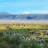 Ngorongoro Crater