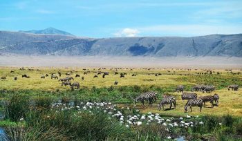 Ngorongoro Crater