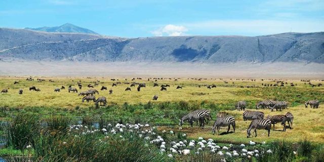 Ngorongoro Crater