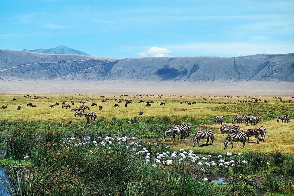 Ngorongoro Crater