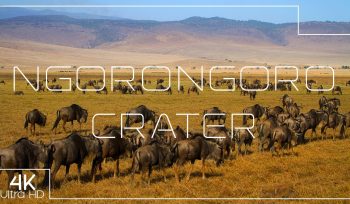 Ngorongoro Crater